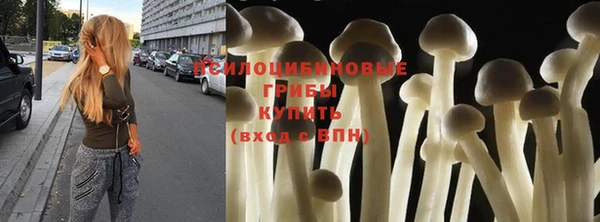 эйфоретик Алексин