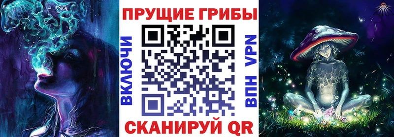 Псилоцибиновые грибы прущие грибы  Владивосток 
