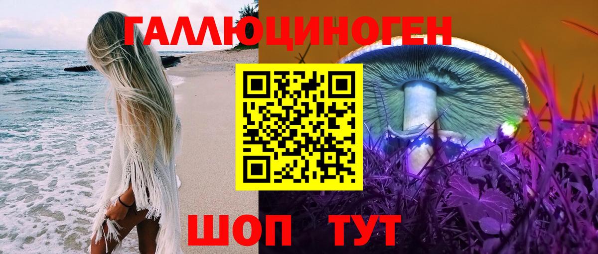 Псилоцибиновые грибы Psilocybine cubensis  Псилоцибиновые грибы Cubensis  Владивосток  Вход с VPN 